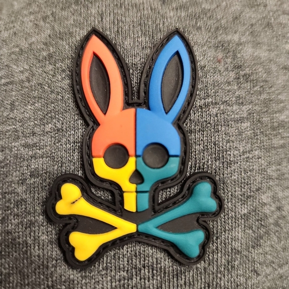 PSYCHO BUNNY Kid's Warwick Color Block Logo Hoodie In Heather Storm Size XS 5-6 - Picture 10 of 16